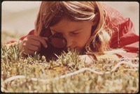 GIRL USES A MAGNIFYING GLASS TO STUDY PLANT LIFE IN THE TUNDRA OF THE ROCKY MOUNTAINS. THE DENVER PTA SPONSORED A... - NARA - 543740